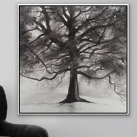 لوحة ظلال-لوحات طبيعة تجريدية.