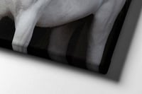 لوحة عاشق خيل-لوحات جدارية خيل.