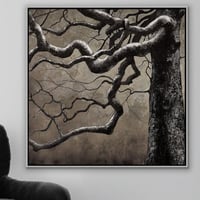 لوحة سكون الليل -لوحات طبيعة.