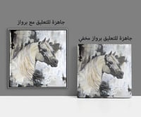 لوحة خيل عربي أبيض.