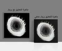 لوحة رقم B198.