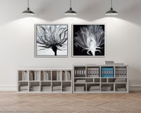 عرض عدد 2 لوحة