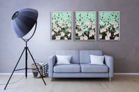 عدد 3 لوح زهور خضرا