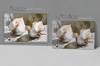 لوحة ثمار القطن-لوحات طبيعة.