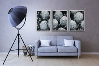 عدد 3 لوح زهور رصاصي