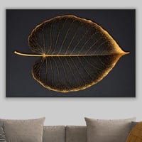 ورقة الملوك-رسم تجريدي من الطبيعة.