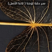 ورقة الملوك-رسم تجريدي من الطبيعة.