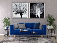 عرض عدد 2 لوحة