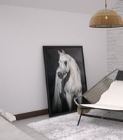 لوحة النايفة لوحة خيل عربي أبيض .