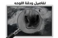 لوحة خيول عربية بالفن التجريدي.