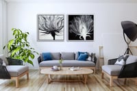 عرض عدد 2 لوحة