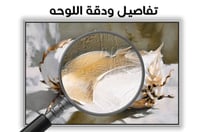 لوحة ثمار القطن-لوحات طبيعة.