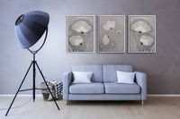 عدد 3 لوح زهور