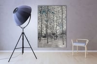 لوحة ظلال بيضاء-لوحات طبيعة.