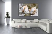 لوحة ثمار القطن-لوحات طبيعة.