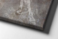 لوحة خيول باللون الابيض.