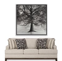 لوحة ظلال-لوحات طبيعة تجريدية.