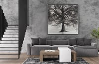 لوحة ظلال-لوحات طبيعة تجريدية.