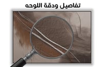 لوحة رقم B50.