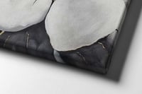 لوحة زهرة الصفاء-لوحات جدارية ورد.