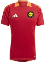 تيشيرت تمارين النصر السعودي الجديد 2026