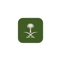 سيفين ونخلة