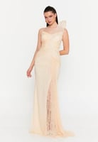 فستان سهرة طويل من الدانتيل بتصميم كتف واحد، يتميز...