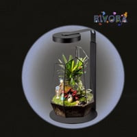 بكج التيراريوم الفاخر – فازة هندسية + مصباح FROK P...