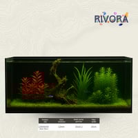 حوض 120×50×50 (سمب خلفي)