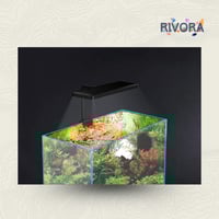 0FROK P2 Pro Nano LED – إضاءة البرو القوية لحوضك