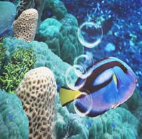 مخصص 3D صور خلفيات تحت الماء العالم جدار اللوحه خل...