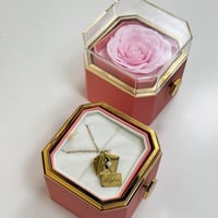 سلسال مملكتي 004