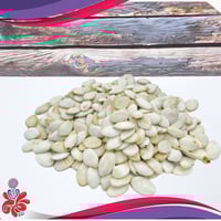 حب قرع سادة 500 جرام