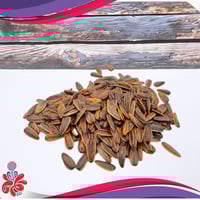 حب شمسي مدخن كيلو