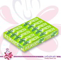 يوروب لبان بطعم النعناع 20*13جرام