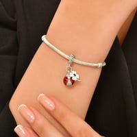 تعليقة الدعسوقة