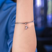 تعليقة الدولفين