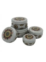 مطبقيات مغربي