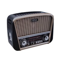 مكبر صوت HiFi مع راديو ولوح شمسي DENX م/ DX2451