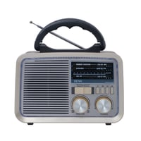 مكبر صوت متعدد الوظائف مع راديو DENX م/ DX2433