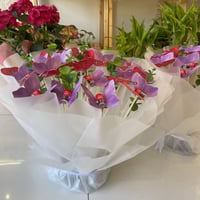 بوكية الزعفران ٢٤ حبة