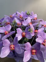 بوكية فراشات الزعفران (يحتوي ع ١٢ فراشة )