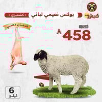 نعيمي كشميري لباني