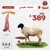 نص نعيمي كشميري جذع