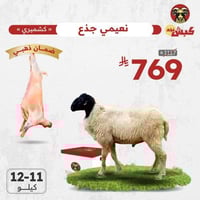 نعيمي كشميري جذع