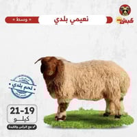 نعيمي بلدي وسط