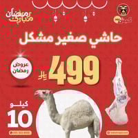 حاشي صغير مشكل 10 كيلو