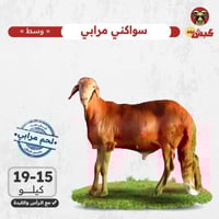 سواكني (مرابي) وسط