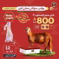 بوكس سواكني محلي كبير