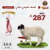 نصف نعيمي كشميري لباني